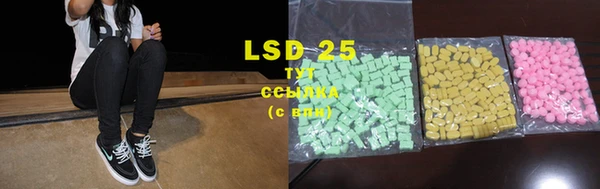 PSILOCYBIN Заводоуковск