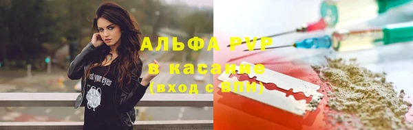 PSILOCYBIN Заводоуковск
