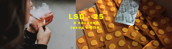 PSILOCYBIN Заводоуковск