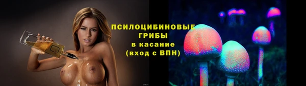 PSILOCYBIN Заводоуковск