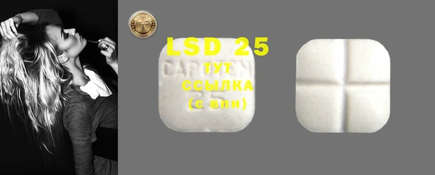 PSILOCYBIN Заводоуковск