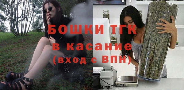 PSILOCYBIN Заводоуковск