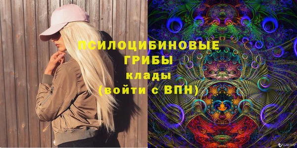 PSILOCYBIN Заводоуковск