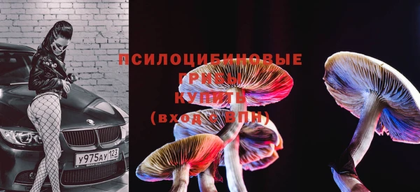 PSILOCYBIN Заводоуковск