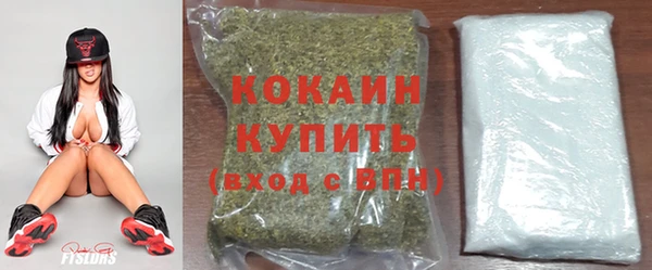 PSILOCYBIN Заводоуковск