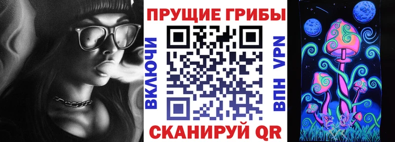 наркошоп  Злынка  Псилоцибиновые грибы Magic Shrooms 